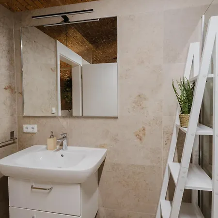 Ziegelloft - Altstadtnah Und Direkt An Der Ilz Passau