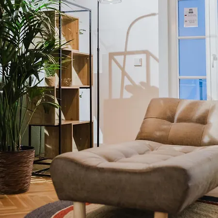 Appartement Ziegelloft - Altstadtnah Und Direkt An Der Ilz *