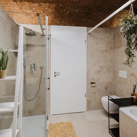 Ziegelloft - Altstadtnah Und Direkt An Der Ilz Appartement Passau